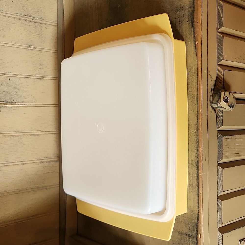 Vintage Tupperware Deviled Egg Holder